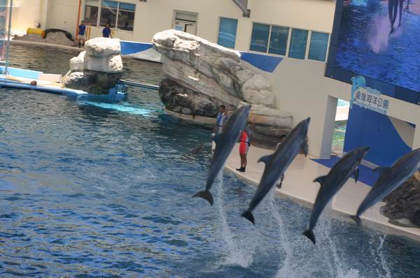 環島遊記第三天